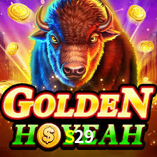 S29 Bet